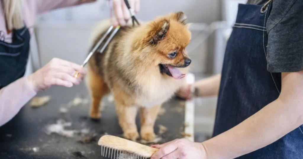 how long does dog grooming take